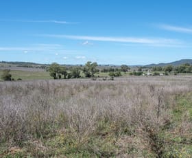 Rural / Farming commercial property sold at Phillipsons Lane Maryvale NSW 2820