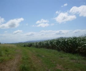 Rural / Farming commercial property sold at Lot 22 Formosas Road Pleystowe QLD 4741