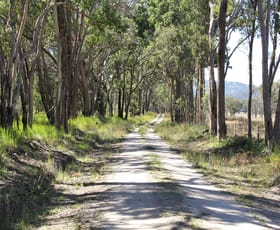 Rural / Farming commercial property sold at 89 Primrose Hill Sandy Flat NSW 2372