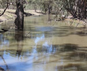 Rural / Farming commercial property sold at 183 O'mahoneys Road Morundah NSW 2700