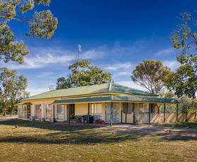 Rural / Farming commercial property sold at 113 Willis Road Avenel VIC 3664