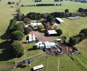 Rural / Farming commercial property sold at 400 Wiridgil Lane Weerite VIC 3260 Rural / Farming commercial property sold at 400 Wiridgil Lane Weerite VIC 3260