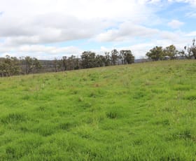 Rural / Farming commercial property sold at Square Range Road Mount Mitchell NSW 2365
