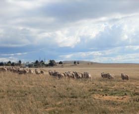 Rural / Farming commercial property sold at 174 Old Dangelong Road Cooma NSW 2630