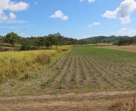 Rural / Farming commercial property sold at Mount Jukes QLD 4740
