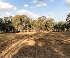 Rural / Farming commercial property sold at Lot 200 Aphrah Avenue Crows Nest QLD 4355