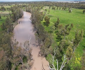 Rural / Farming commercial property sold at Dalby QLD 4405