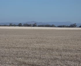 Rural / Farming commercial property sold at . South Road Drung VIC 3401