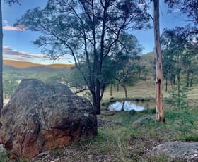 Rural / Farming commercial property for sale at Lot 17 Putty Road Howes Valley NSW 2330