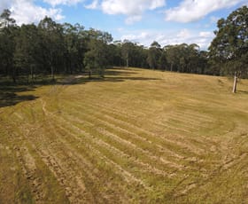 Rural / Farming commercial property sold at 514 Italia Road East Seaham NSW 2324