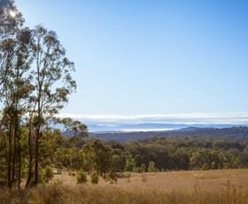 Rural / Farming commercial property sold at Lot 34 Cullendore Road Cullendore NSW 2372
