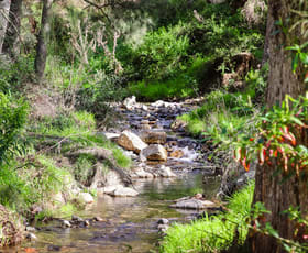 Rural / Farming commercial property sold at 879 Duncans Creek Road Tamworth NSW 2340