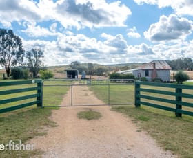 Rural / Farming commercial property sold at 92 Mills Road Molong NSW 2866