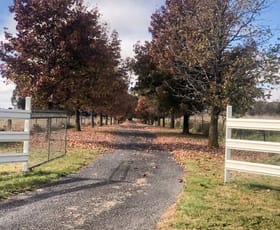 Rural / Farming commercial property sold at 683 Huntley Road Huntley NSW 2800