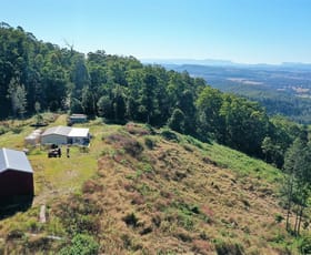 Rural / Farming commercial property sold at Lot 21 Babyl Creek Road Kyogle NSW 2474