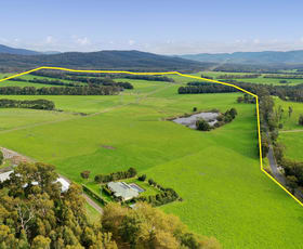 Rural / Farming commercial property sold at 1145 Labertouche North Road Labertouche VIC 3816