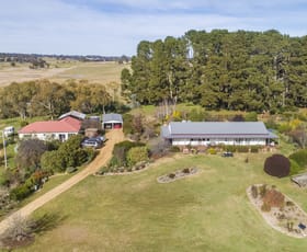 Rural / Farming commercial property sold at 808 Carrabungla Road Roslyn NSW 2580