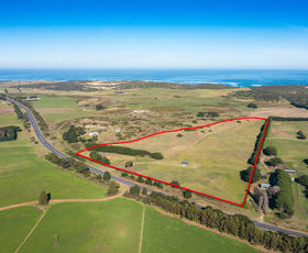 Rural / Farming commercial property sold at 3309 Princes Highway Port Fairy VIC 3284