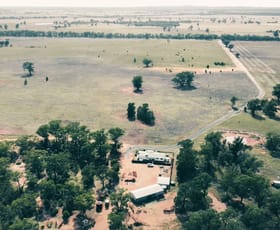 Rural / Farming commercial property sold at 759 Wamboyne Road West Wyalong NSW 2671
