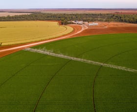 Rural / Farming commercial property sold at Lachlan River Road Hillston NSW 2675