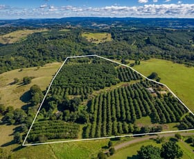 Rural / Farming commercial property sold at 519 Cross Road Numulgi NSW 2480