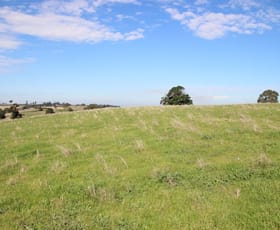 Rural / Farming commercial property sold at Lots 180C & A42 Cape Clear - Rokewood Road Rokewood Junction VIC 3351
