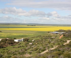 Rural / Farming commercial property sold at 33767 Brand Highway South Greenough WA 6528