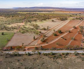 Rural / Farming commercial property sold at 280 Brobenah Hall Road Leeton NSW 2705