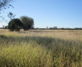 Rural / Farming commercial property sold at 564 ACRES Jandowae QLD 4410