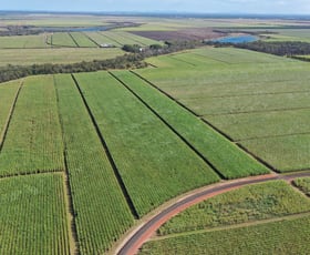 Rural / Farming commercial property sold at Alloway QLD 4670