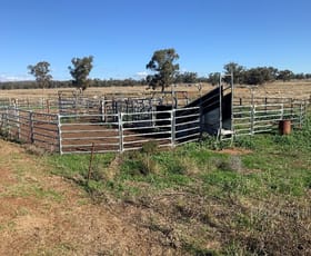 Rural / Farming commercial property sold at Glengarry 30 Brummagen Rd Narromine NSW 2821