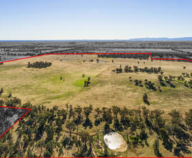 Rural / Farming commercial property sold at 54 Silo Road Young NSW 2594