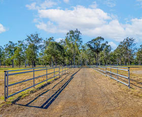Rural / Farming commercial property sold at 7 Toohey Road Walloon QLD 4306