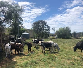 Rural / Farming commercial property sold at 1729 Nundle Road Dungowan NSW 2340