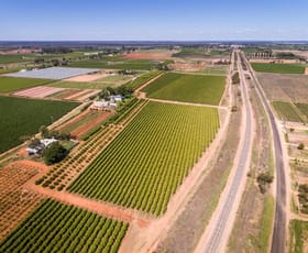 Rural / Farming commercial property for sale at Lot 2 Cowanna Avenue Merbein VIC 3505