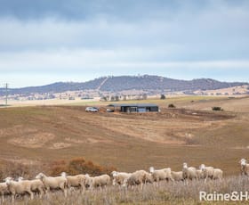 Rural / Farming commercial property sold at 645 Matong Road Numbla Vale NSW 2628