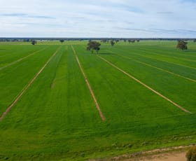 Rural / Farming commercial property sold at Wakool Road Wakool NSW 2710