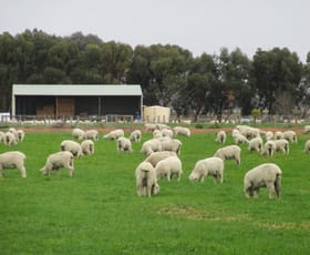 Rural / Farming commercial property sold at Lot 2 River Road Murraydale VIC 3586