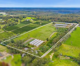 Rural / Farming commercial property sold at 10 Lillicrapps Road Mangrove Mountain NSW 2250