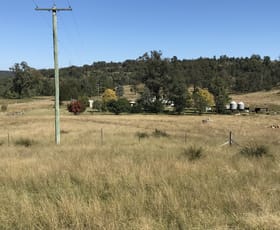 Rural / Farming commercial property sold at 1311 Giants Creek Road Giants Creek NSW 2328