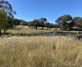 Rural / Farming commercial property sold at 91 Karalee Row Murrurundi NSW 2338
