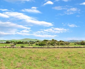 Rural / Farming commercial property sold at 130 Pearlys Road Dreeite South VIC 3249