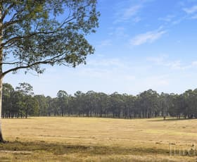 Rural / Farming commercial property sold at 42 Big Ridge Lane Sedgefield NSW 2330