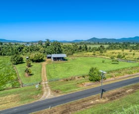 Rural / Farming commercial property sold at 91 Walter Lever Estate Road Silkwood QLD 4856