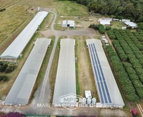 Rural / Farming commercial property for sale at 1004 Bilwon Road Biboohra QLD 4880