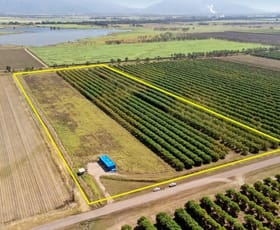 Rural / Farming commercial property sold at 13 Trembath Road Horseshoe Lagoon QLD 4809