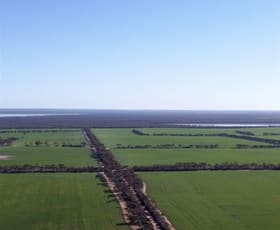 Rural / Farming commercial property sold at 1982 Salmon Gums West Rd Salmon Gums WA 6445