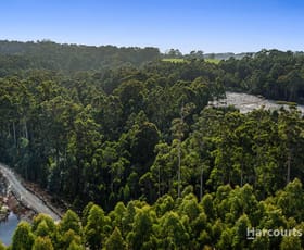 Rural / Farming commercial property for sale at 00 Marshalls Road Flowerdale TAS 7325