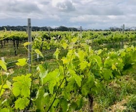 Rural / Farming commercial property for sale at 634 Lake Plains Road Lake Plains SA 5255