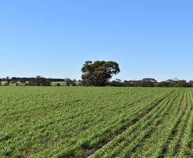 Rural / Farming commercial property sold at 227 Leppard Road Katanning WA 6317